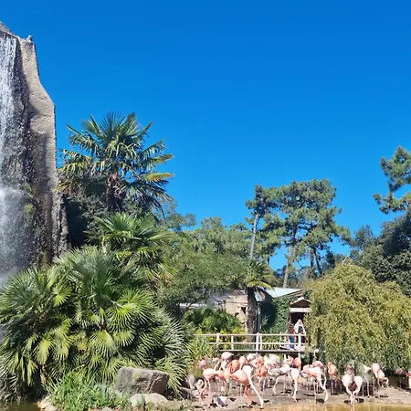 3 Bedroom Gorgeous In * Royan